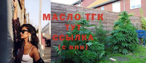 молекула духа Магадан