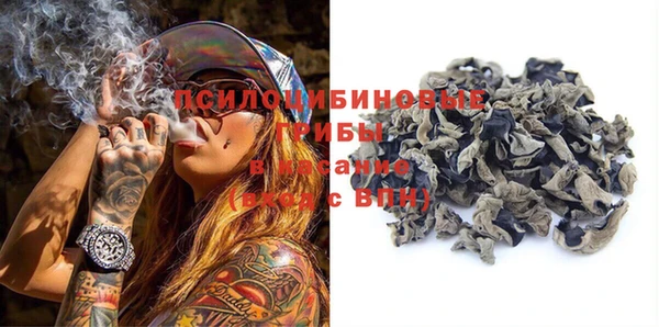 тгк Алзамай